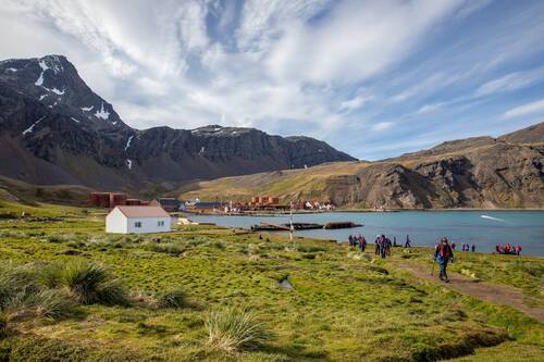 Grytviken, South Georgia, Pia Harboure