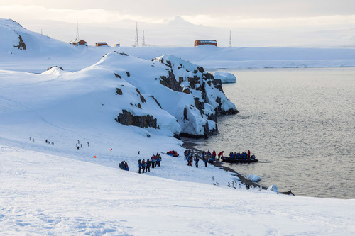 Half Moon Island, Antarctica, Adrian Wlodarczyk