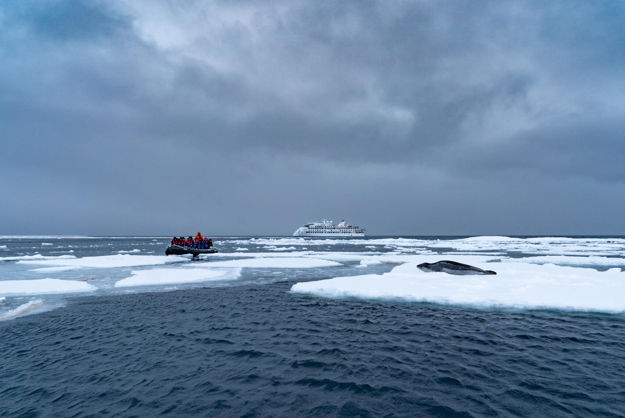 Spirit of Antarctica Expedition 2024/2025 Vantage Explorations