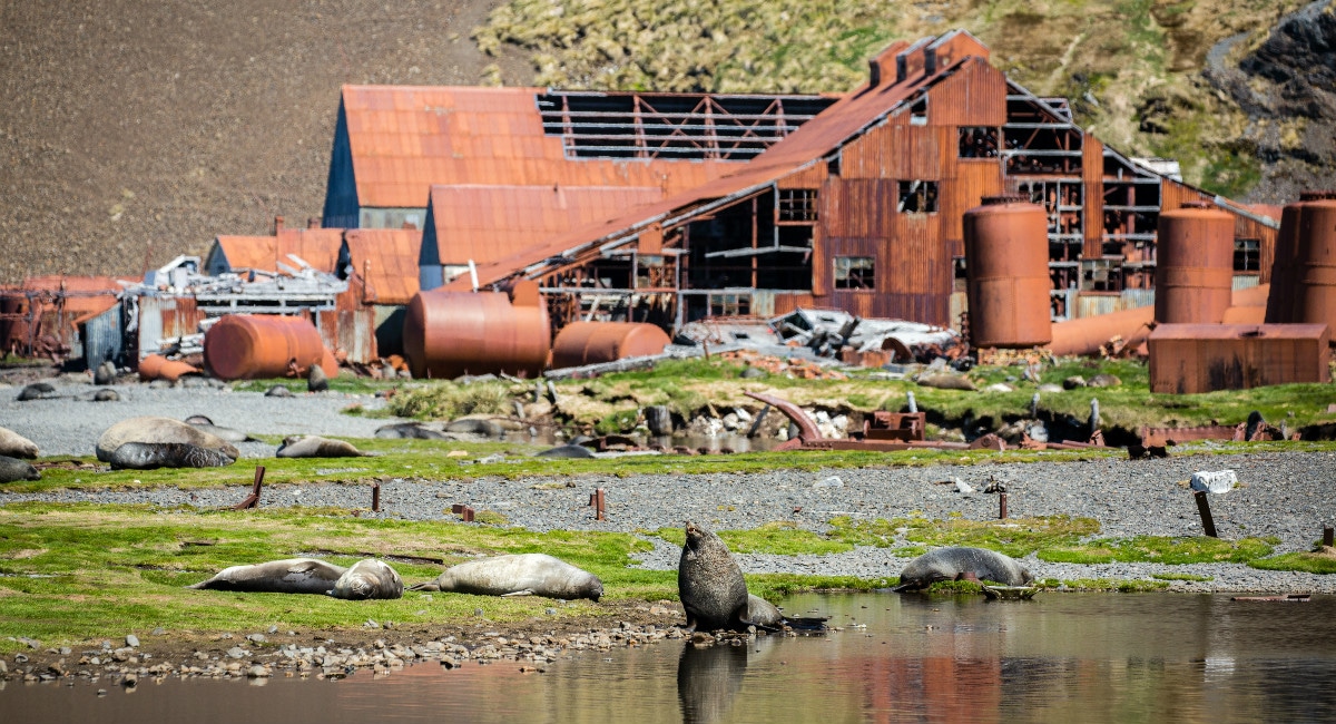 Abandoned whaling station at Stromness