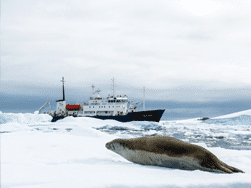 South Georgia & Antarctic Odyssey