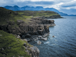 Wild Scotland