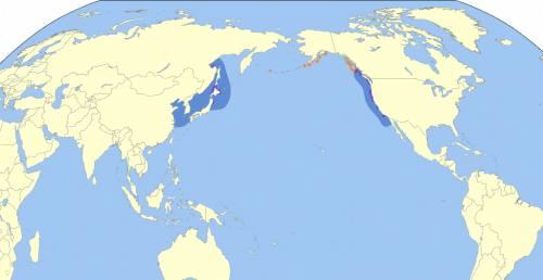 Rhinoceros auklet distribution map